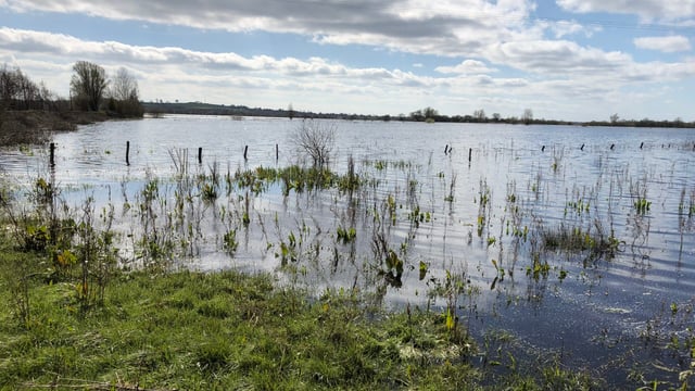 'Minister must provide definite start date for River Shannon pinch points'