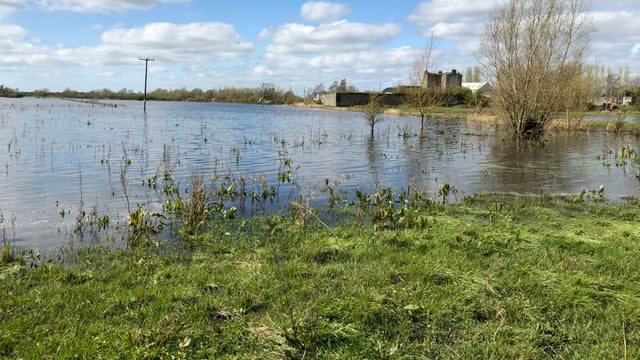 DAFM has 'questions to answer' on Shannon callows scheme - SF