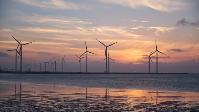 Wind energy supplied almost one third of electricity last month