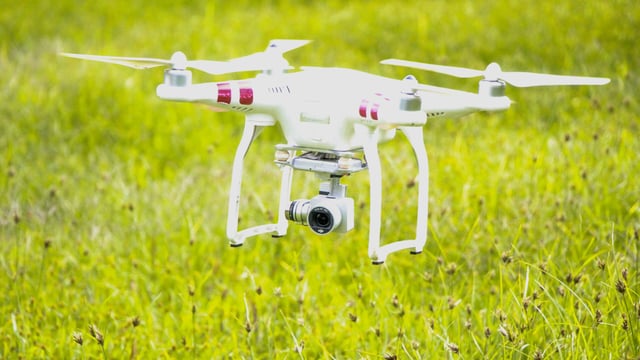 Checking and moving stock on the farm...with drones that bark