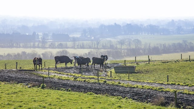 New Agri-Food Strategy 'a crucial moment' for agriculture