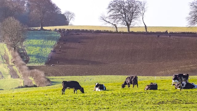 CEJA launches campaign to protect land for young farmers