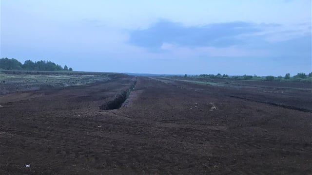 Bord na Móna to suspend peat harvesting