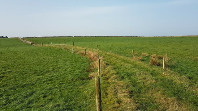 67ac farm includes a converted milking parlour 'suitable for commercial letting'