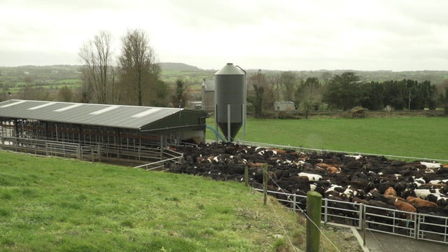 IFA: 'Farm income figures a wake up call for Government'