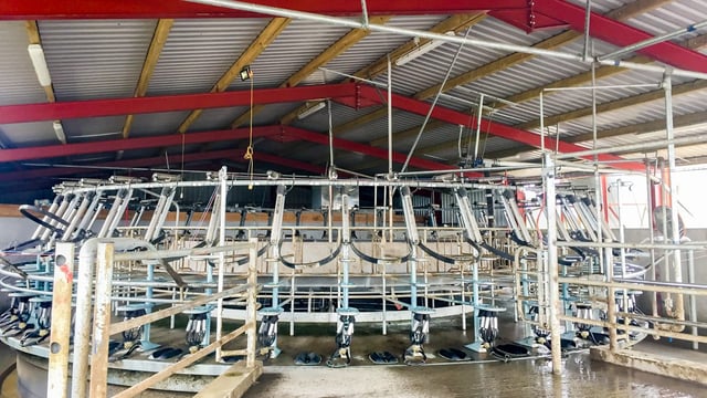 Dairy focus: Operation (farm) transformation in Co. Laois