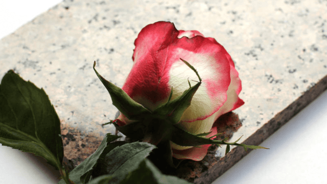 Cooney Furlong 'deeply saddened' following death of worker