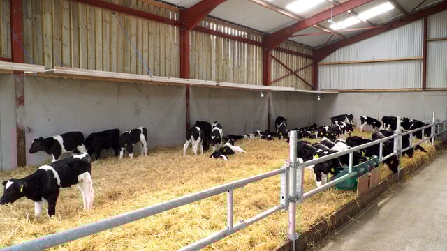 Providing the perfect environment for calves in Co. Kilkenny