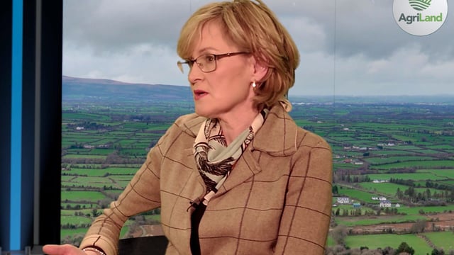 'McGuinness will bring strong and credible voice on agriculture' - IFA