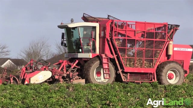 Video: 'Grease it and fill her with diesel – a handy day’s work is 20ac'