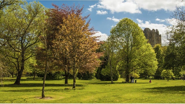 'Plant for our Planet': Public urged to back National Tree Week 2019