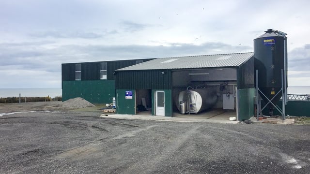 Dairy focus: Converting to dairy on a budget in Co. Wicklow