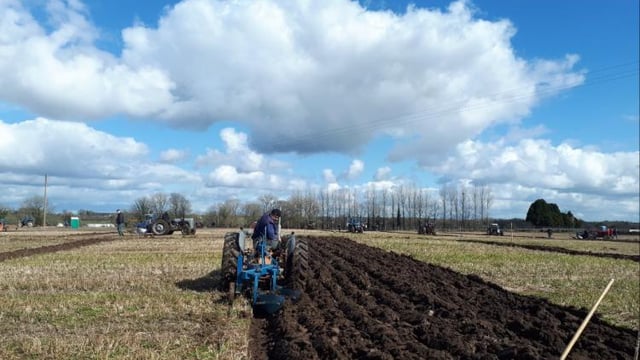85th Longford ploughing championships kicks off this weekend