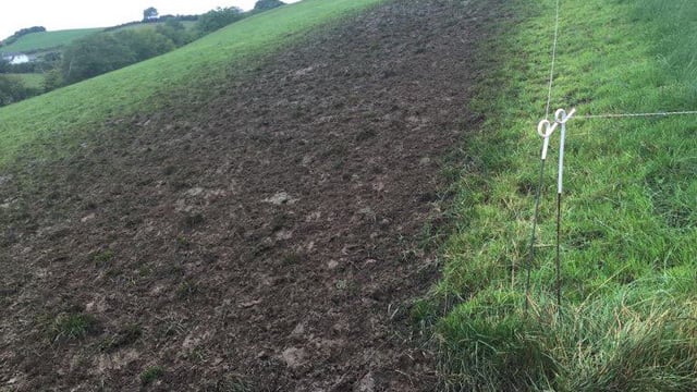 Should I re-house my cows to prevent damage?
