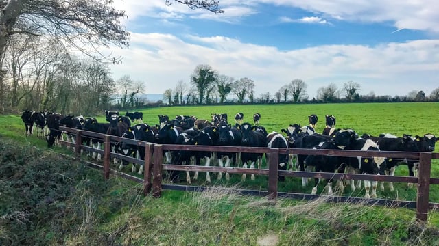 Meet the newly-appointed Teagasc Green Acres Calf to Beef advisors
