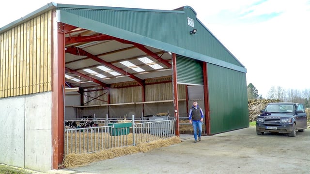 Purchasing 180 calves from local dairy farms in Co. Kilkenny