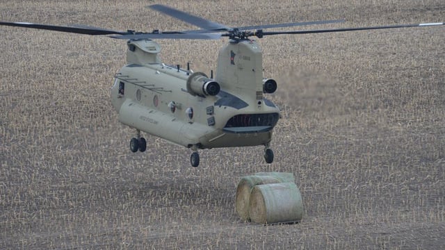 Video: Bales of hay airdropped to flood-stricken cattle by National Guard