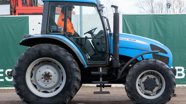 Auction report: Check out this varied mix of pics/prices...