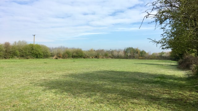 13ac of 'good quality' land for sale at Daars, Sallins