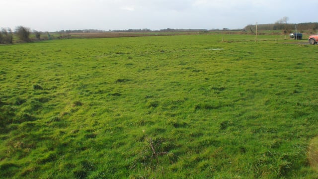 Co. Kerry holdings to go for public auction in April