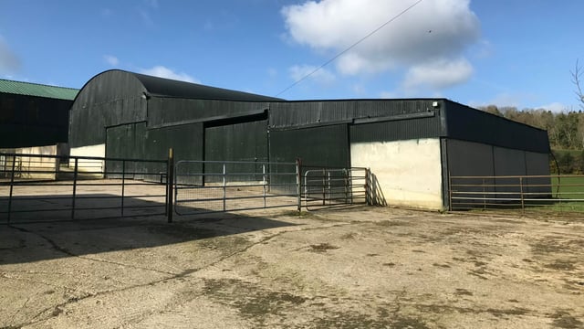 'Refusal of TAMS applications very disappointing' - IFA