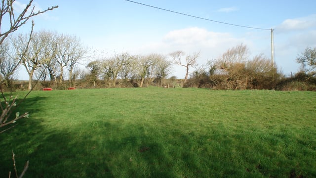 'Land prices steady in some areas; modest hikes elsewhere' - SCSI/Teagasc report