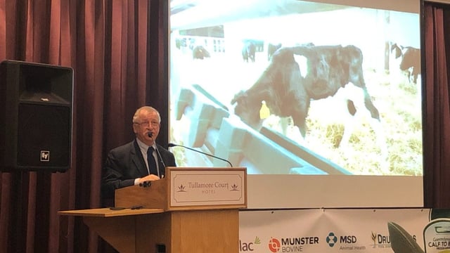 Teagasc commits to increasing beef sires used on its dairy herds