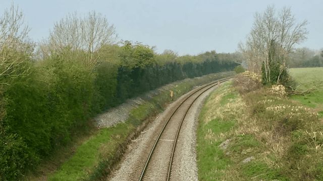 Evident anger as Irish Rail 'mulch hedge to the ground'