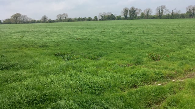 How expensive was EU agricultural land in 2023?
