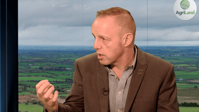 Punch: 'The Irish dairy industry should pay for extra Cherbourg lairage'