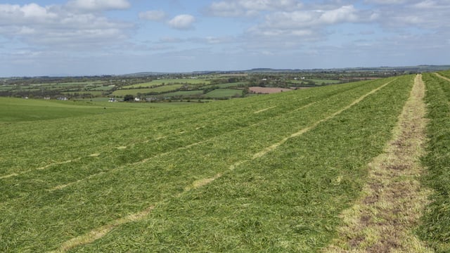 Department confirms ANC 'category 1' farmers can enter fodder scheme