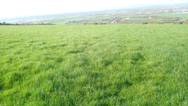 32.16ac residential holding with traditional farmyard to go for public auction