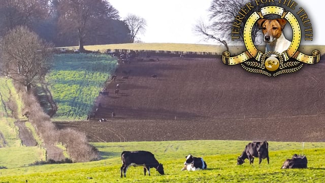 Jack Russell: What about 100% convergence in politicians' payments?
