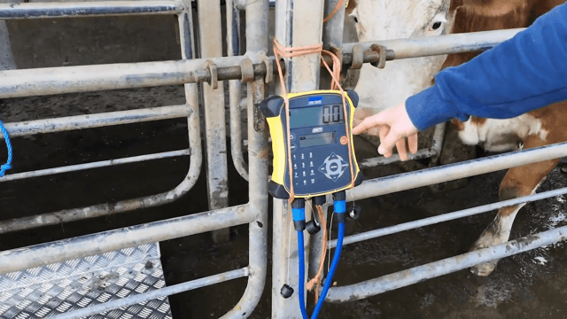 Video: What is best practice for weighing animals in BEEP?