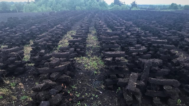 TCCA and NPWS tackle SAC raised bog issues