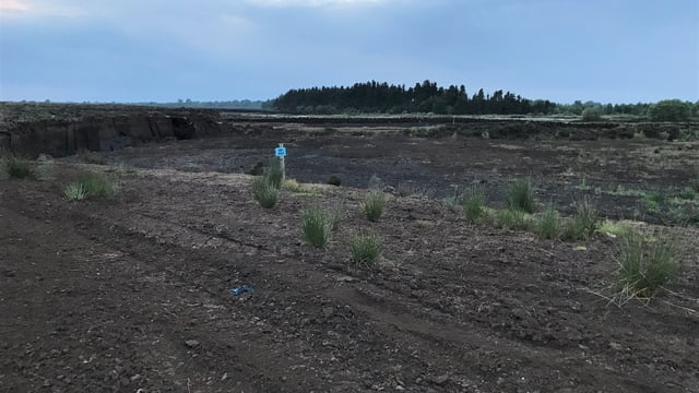 Animal remains dumped in Co. Meath bog again