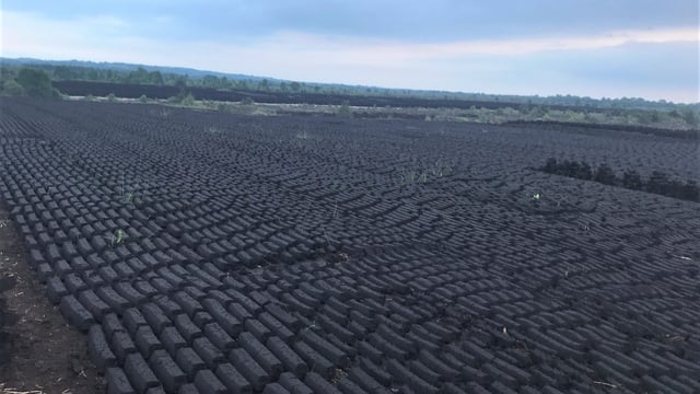 Nature restoration 'fight' must continue - Green Party
