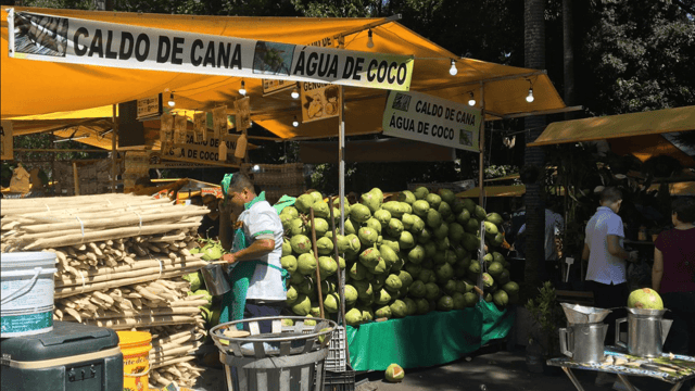 Brazilian producers race to ramp up traceability and sustainability as Brexit nears