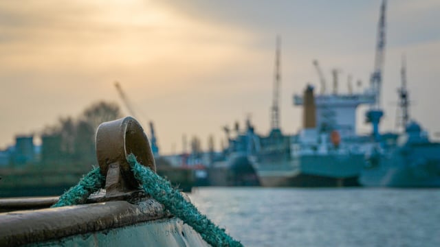Search underway for 42 crew after cattle ship capsizes in East China Sea