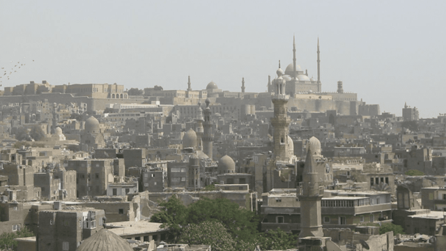 Department agrees amended export certificates with Egypt