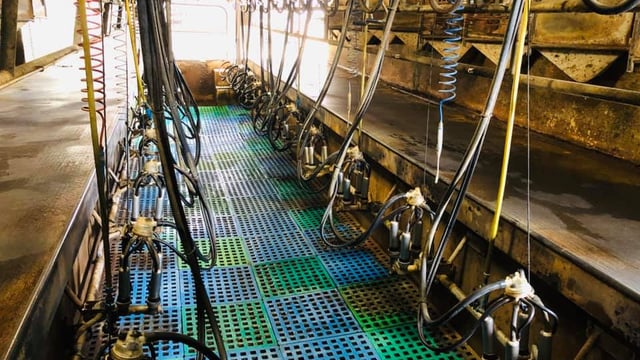 Dairy co-ops 'need to shoulder some of the pain'