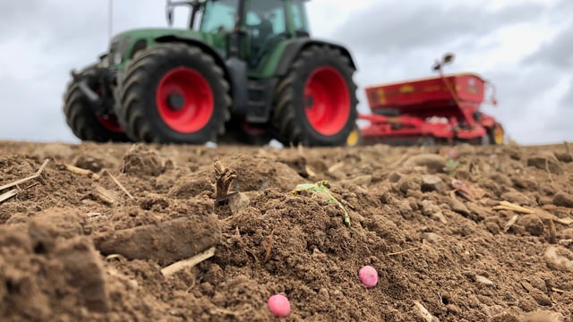 Arable April is back...what's happening in the fields?