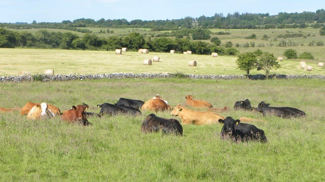 Complex nature of ACRES could deter some farmers - advisor