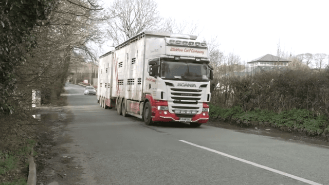 Live cattle exports running 29% ahead of 2018 levels