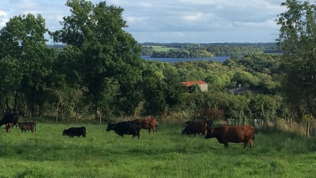 Roscommon couple build on organic farm brand