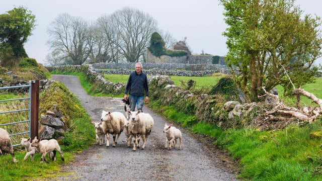 Closing date approaching for farming for nature award