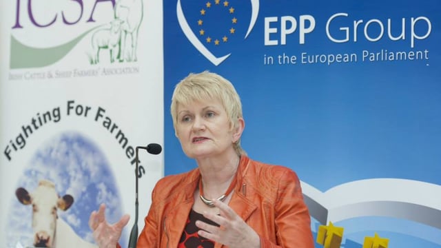 Agriculture minister gives assurances to farmers affected by Leitrim landslide