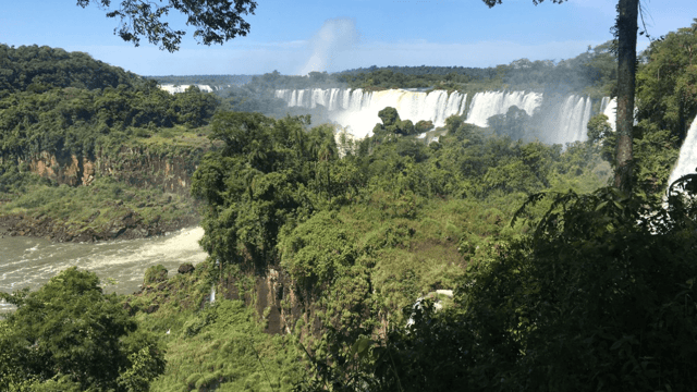 Mercosur trade deal 'fails sustainability criteria' - Oxford University