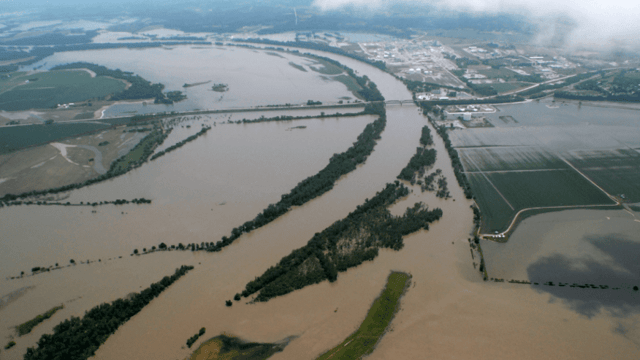 'As many as one million' calves lost in Nebraska flooding