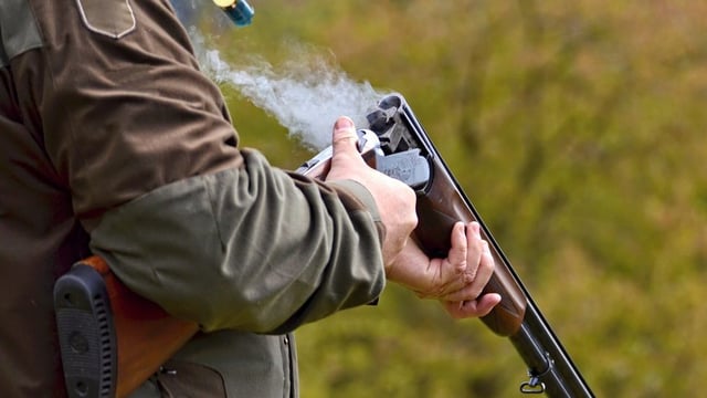 Changes to NI General Licences under review
